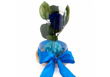 Trandafir albastru criogenat