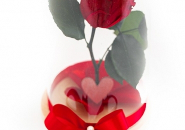 Trandafir roșu criogenat