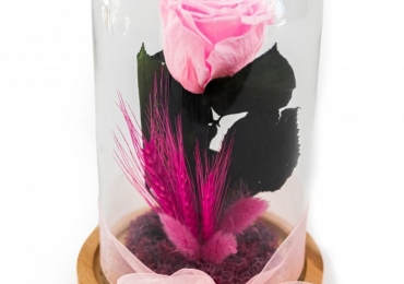 Trandafir criogenat roz